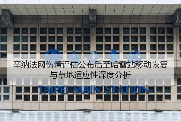 辛纳法网伤情评估公布后至哈雷站移动恢复与草地适应性深度分析